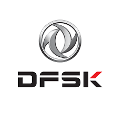 DFSK logo